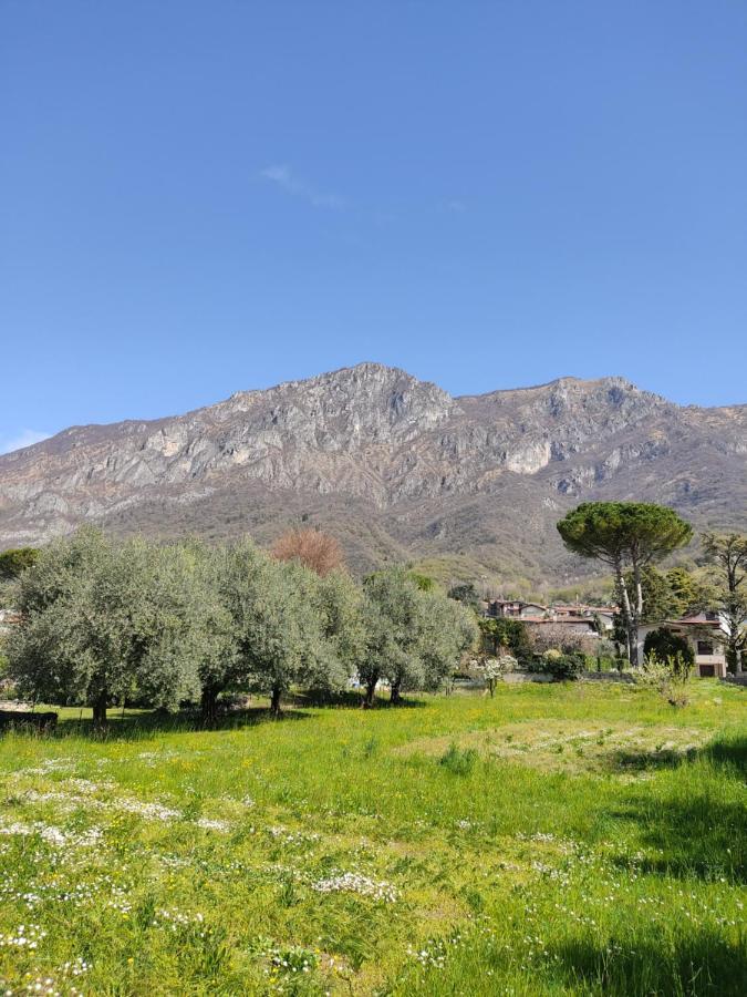 La Casa A Chiocciola Between Lake And Mountains 리에르나 외부 사진